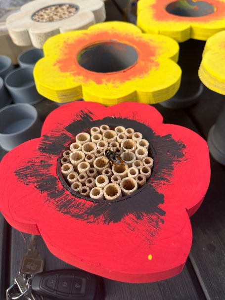 Nisthilfe für Wildbienen