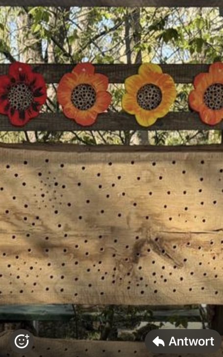 Nisthilfe für Wildbienen